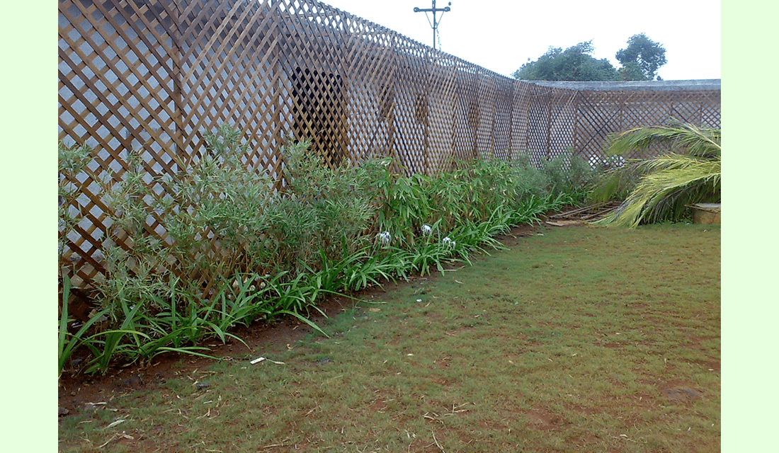 anchor-farm-2